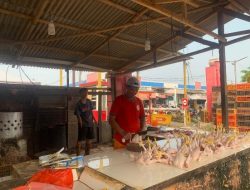 Harga Telur dan Ayam Potong di Tangerang Meroket