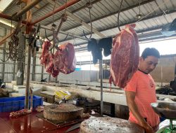 Jelang Idul Adha, Harga Daging Jenis Ini Naik