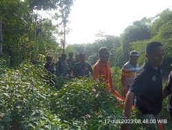 Warga Banten yang Hilang Diduga Diterkam Buaya Ditemukan