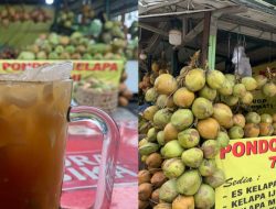 Musim Kemarau, Pedagang Es Kelapa ini Panen Cuan Rp. 1 juta Perhari